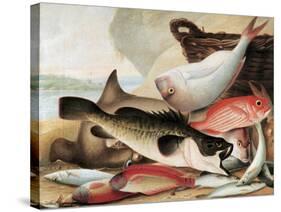 Fish Catch and Dawes Point, Sydney Harbour, C.1813-John William Lewin-Stretched Canvas
