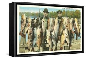 Fish Catch, Florida-null-Framed Stretched Canvas