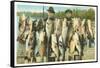 Fish Catch, Florida-null-Framed Stretched Canvas
