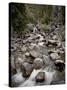 Fish Creek Falls and Cascades, Routt National Forest, Colorado, USA-James Hager-Stretched Canvas