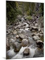Fish Creek Falls and Cascades, Routt National Forest, Colorado, USA-James Hager-Mounted Photographic Print
