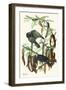 Fish Crow-John James Audubon-Framed Art Print