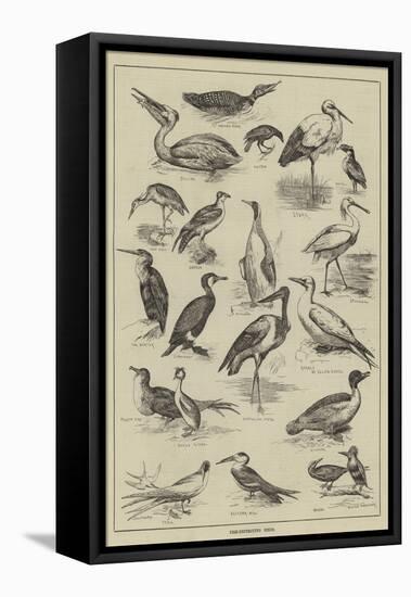 Fish-Destroying Birds-null-Framed Stretched Canvas