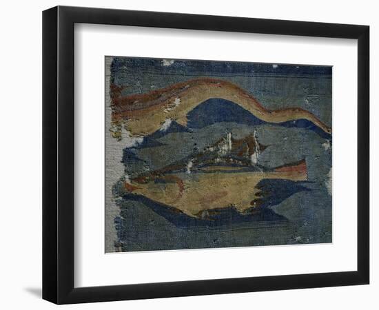 Fish, Detail from Decorated Fabric, Wool, from Antinoe, Egypt, Coptic Civilization-null-Framed Giclee Print