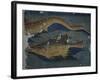 Fish, Detail from Decorated Fabric, Wool, from Antinoe, Egypt, Coptic Civilization-null-Framed Giclee Print