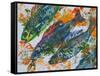 fish diving-jocasta shakespeare-Framed Stretched Canvas