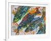 fish diving-jocasta shakespeare-Framed Giclee Print