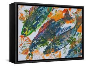 fish diving-jocasta shakespeare-Framed Stretched Canvas
