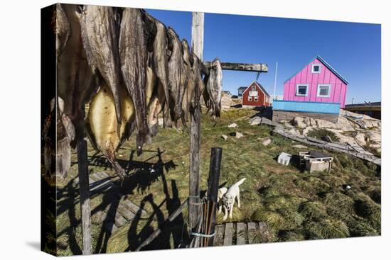 Fish Drying on Racks in the Town of Ilulissat, Greenland, Polar Regions-Michael Nolan-Stretched Canvas