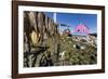 Fish Drying on Racks in the Town of Ilulissat, Greenland, Polar Regions-Michael Nolan-Framed Photographic Print