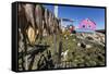 Fish Drying on Racks in the Town of Ilulissat, Greenland, Polar Regions-Michael Nolan-Framed Stretched Canvas