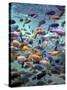 Fish Enclosure in Busch Gardens, Orlando Florida, November 2001-null-Stretched Canvas