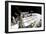 Fish-Eye Lens View of a Portion of the International Space Station-null-Framed Photographic Print