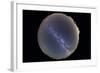 Fish-Eye Lens View of Sky with Milky Way-null-Framed Photographic Print