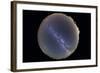 Fish-Eye Lens View of Sky with Milky Way-null-Framed Photographic Print