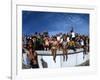 Fish-Eye Lens View of Spectators Watching Apollo 11 Blast-Off-Ralph Crane-Framed Photographic Print