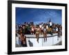 Fish-Eye Lens View of Spectators Watching Apollo 11 Blast-Off-Ralph Crane-Framed Photographic Print