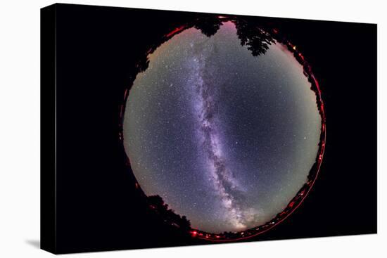 Fish-Eye Lens View of the Summer Milky Way-null-Stretched Canvas