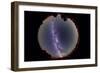 Fish-Eye Lens View of the Summer Milky Way-null-Framed Photographic Print