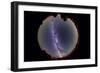 Fish-Eye Lens View of the Summer Milky Way-null-Framed Photographic Print
