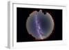 Fish-Eye Lens View of the Summer Milky Way-null-Framed Photographic Print