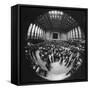 Fish Eye View of the Action on the Floor of the New York Stock Exchange-Ralph Morse-Framed Stretched Canvas