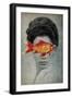 Fish Eye-Elo Marc-Framed Premium Giclee Print