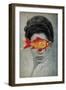 Fish Eye-Elo Marc-Framed Giclee Print