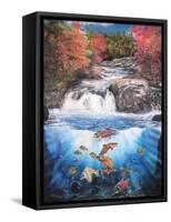 Fish Falls-Murray Henderson-Framed Stretched Canvas