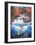 Fish Falls-Murray Henderson-Framed Photographic Print