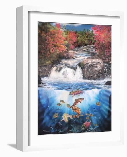 Fish Falls-Murray Henderson-Framed Photographic Print