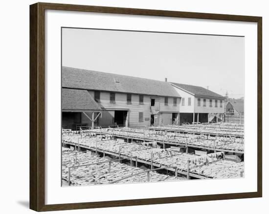 Fish Flakes, Gloucester, Mass.-null-Framed Photo