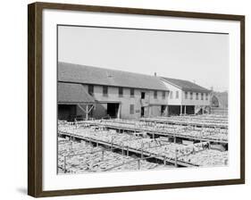 Fish Flakes, Gloucester, Mass.-null-Framed Photo