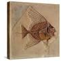 Fish (Fossil)-null-Stretched Canvas