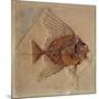 Fish (Fossil)-null-Mounted Giclee Print