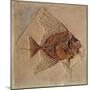 Fish (Fossil)-null-Mounted Giclee Print