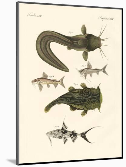 Fish from Bengali-null-Mounted Giclee Print