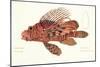 Fish, from group of color lithographs of fishes animals, 1830.-null-Mounted Art Print