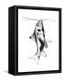 Fish Fuel-Alexis Marcou-Framed Stretched Canvas