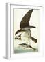 Fish Hawk, 1830-John James Audubon-Framed Giclee Print