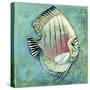 Fish I-Gregory Gorham-Stretched Canvas