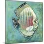 Fish I-Gregory Gorham-Mounted Art Print