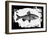 Fish I-Sarah Adams-Framed Art Print