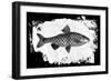 Fish I-Sarah Adams-Framed Art Print