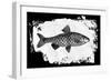 Fish I-Sarah Adams-Framed Art Print