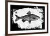 Fish I-Sarah Adams-Framed Art Print