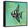 Fish II-Gregory Gorham-Framed Stretched Canvas