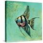 Fish II-Gregory Gorham-Stretched Canvas