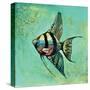 Fish II-Gregory Gorham-Stretched Canvas
