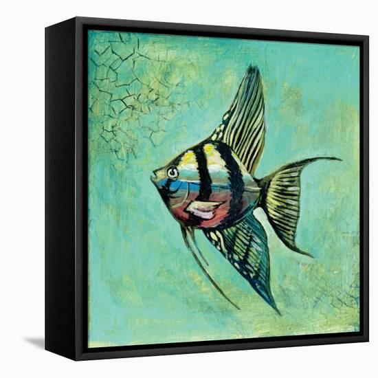 Fish II-Gregory Gorham-Framed Stretched Canvas